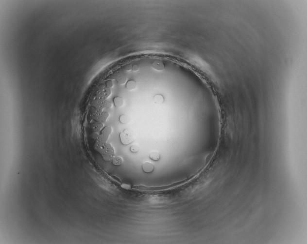 X0000111881360200907301128