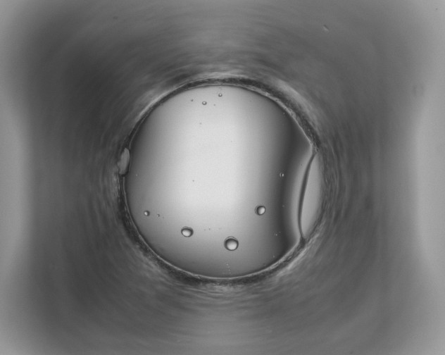 X0000111881361200907301128