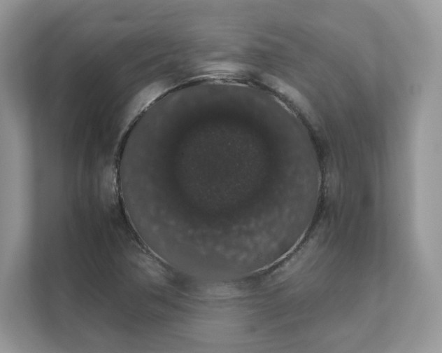X0000111881362200907301128