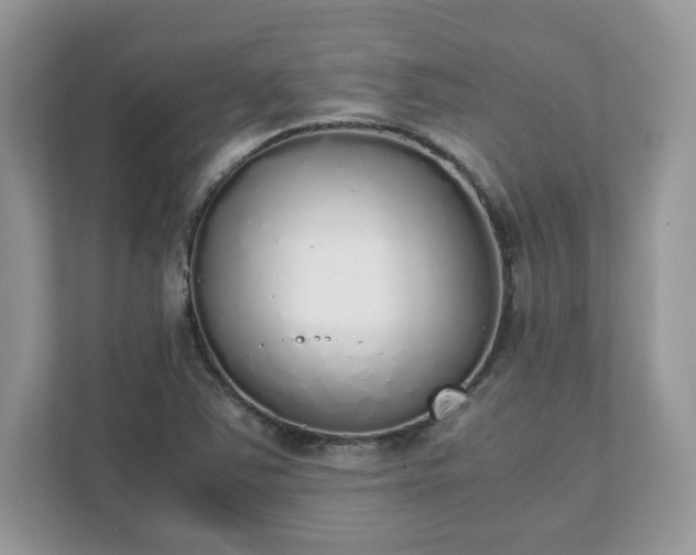X0000111881363200907301128