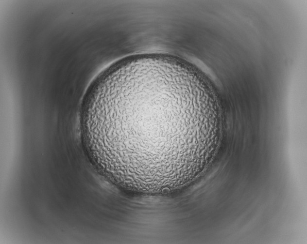X0000111881364200907301128