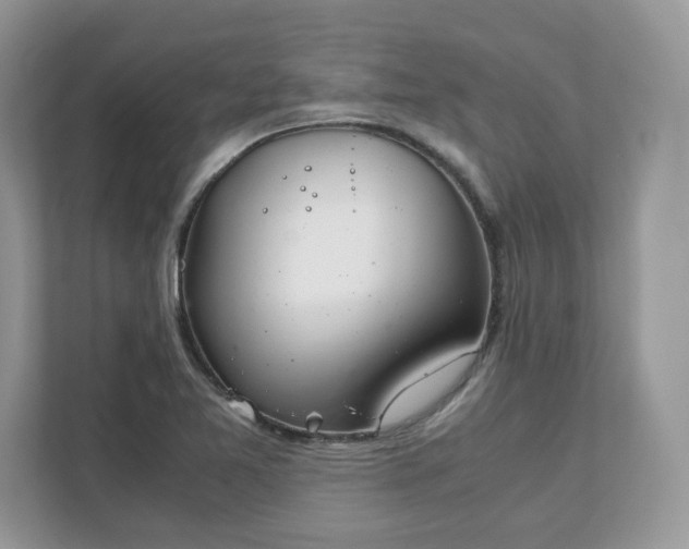 X0000111881365200907301128
