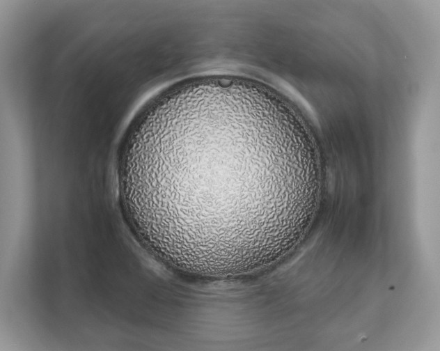 X0000111881368200907301128