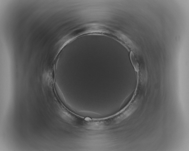 X0000111881369200907301128
