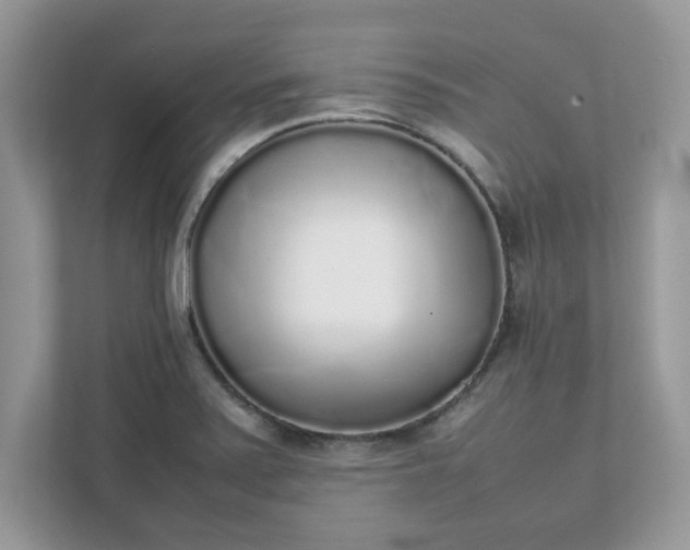X0000111881371200907301128