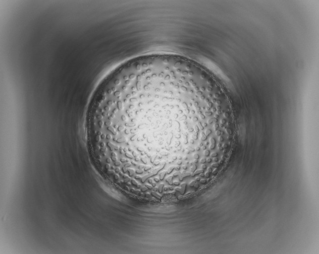 X0000111881372200907301128