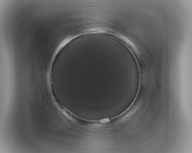 X0000111881373200907301128