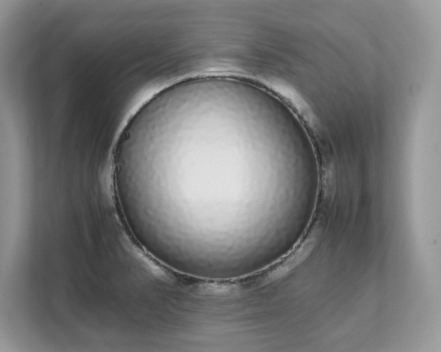 X0000111881374200907301128