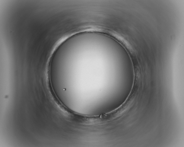 X0000111881375200907301128