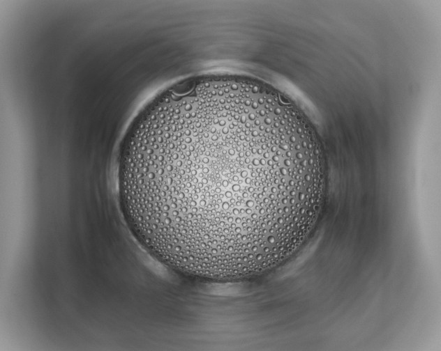 X0000111881376200907301128