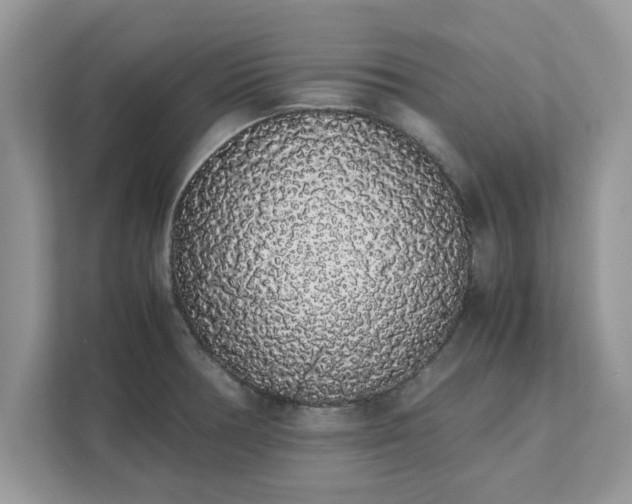 X0000111881378200907301128