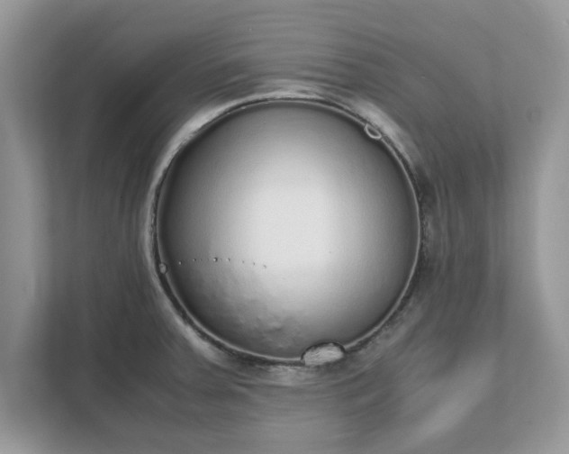 X0000111881379200907301128