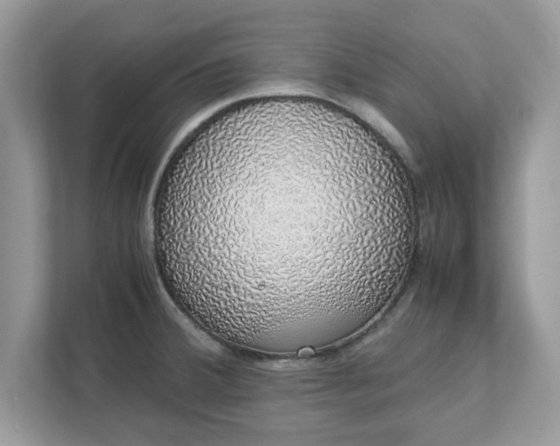 X0000111881380200907301128