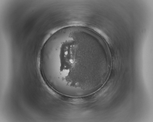 X0000111881383200907301128