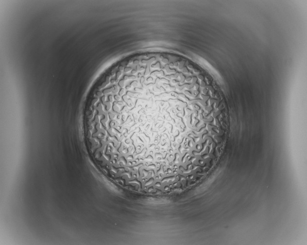 X0000111881384200907301128