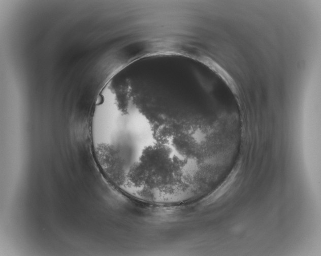 X0000111881385200907301128
