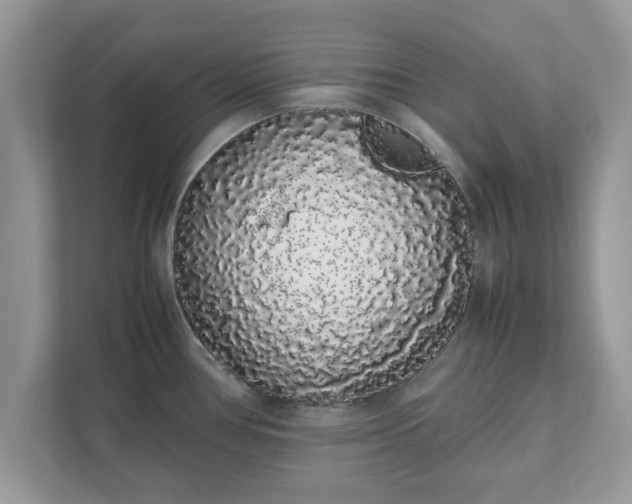 X0000111881386200907301128