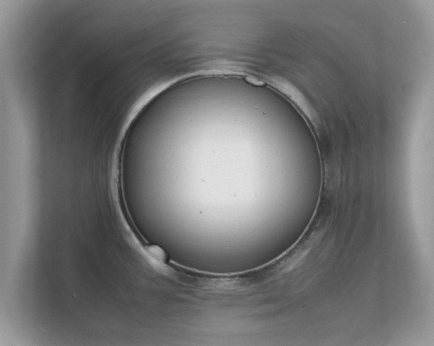 X0000111881387200907301128