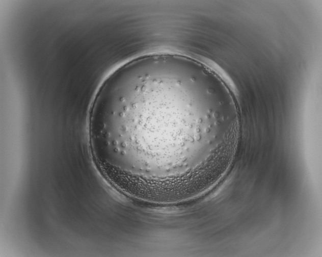 X0000111881388200907301128
