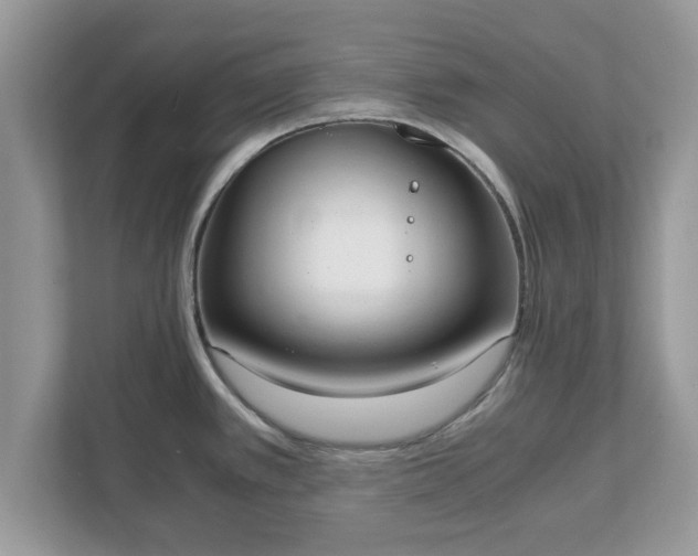 X0000111881389200907301128