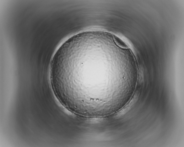 X0000111881390200907301128
