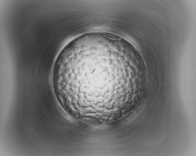 X0000111881392200907301128