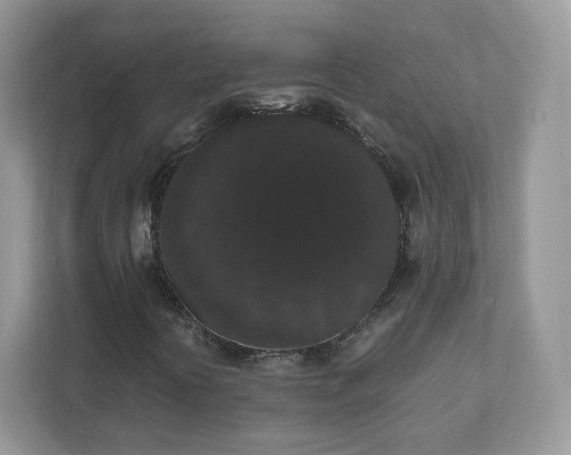 X0000111881394200907301127