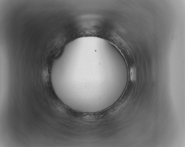 X0000111881395200907301127