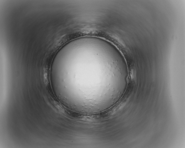 X0000111881396200907301127