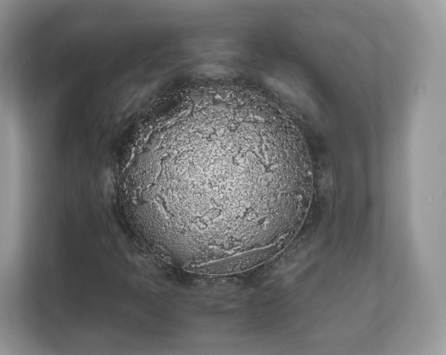 X0000111881397200907301127