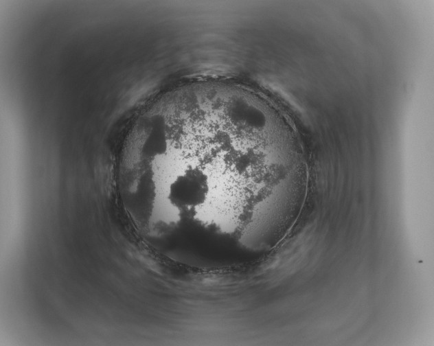X0000111881399200907301127