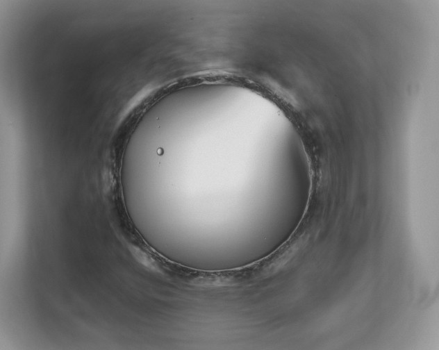 X0000111881400200907301127