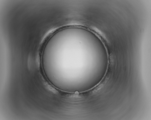 X0000111881408200907301128