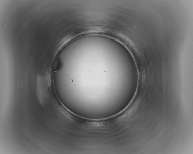 X0000111881409200907301128