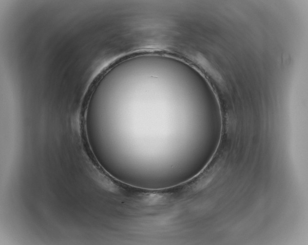 X0000111881412200907301128