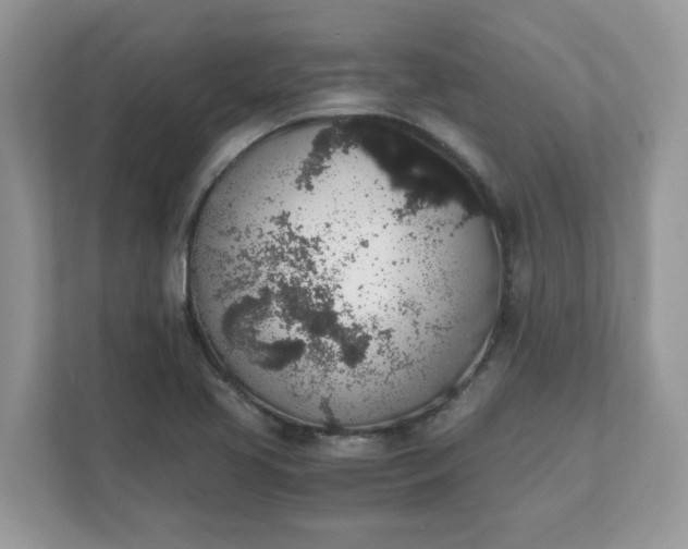 X0000111881413200907301128