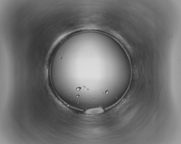 X0000111881416200907301128