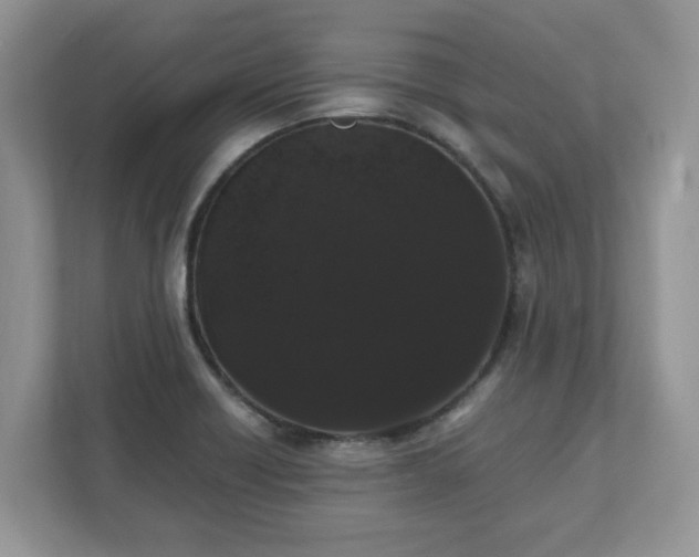 X0000111881418200907301128