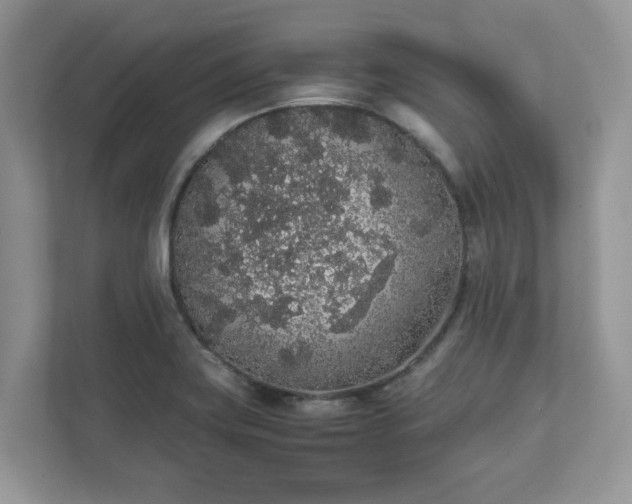 X0000111881419200907301128