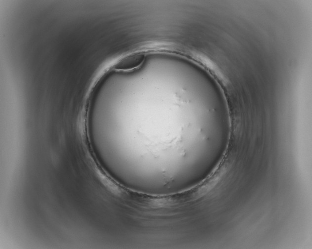 X0000111881421200907301128