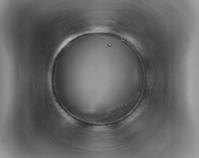 X0000111881422200907301128