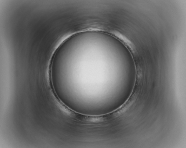 X0000111881423200907301128