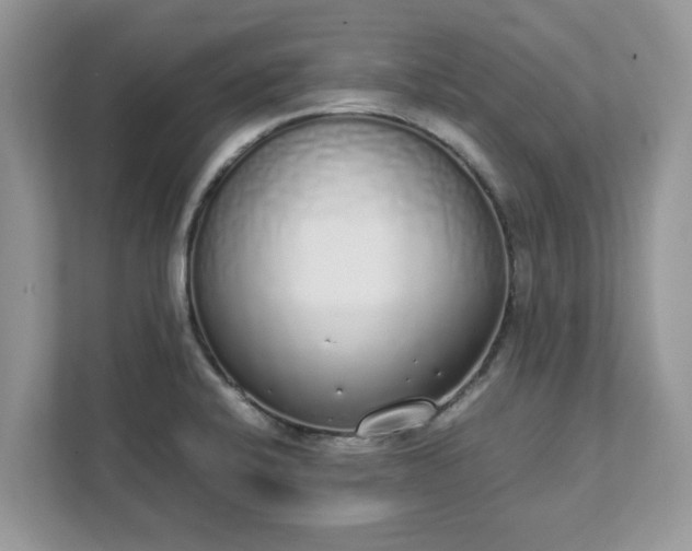 X0000111881424200907301128