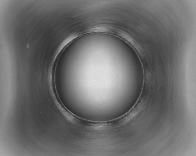 X0000111881426200907301128