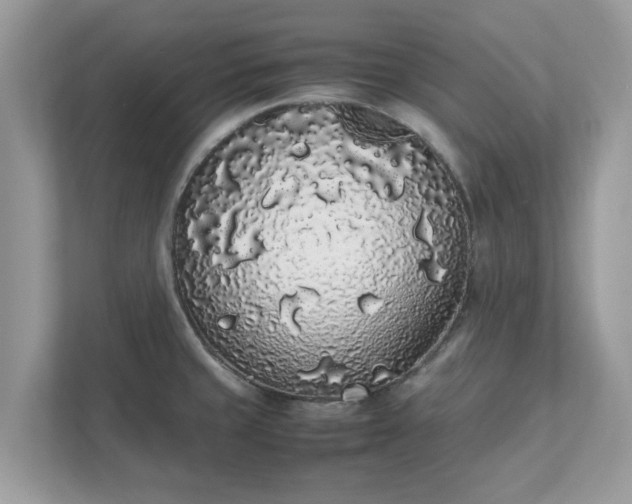 X0000111881429200907301128