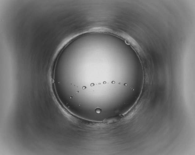X0000111881430200907301128