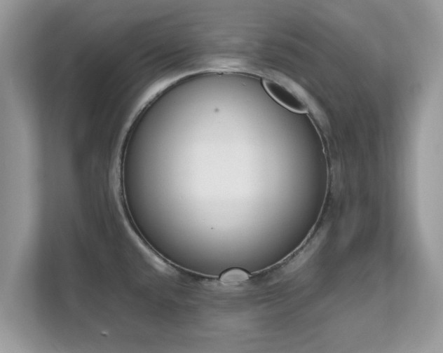 X0000111881432200907301128