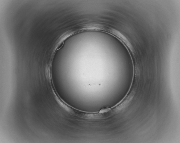 X0000111881433200907301128