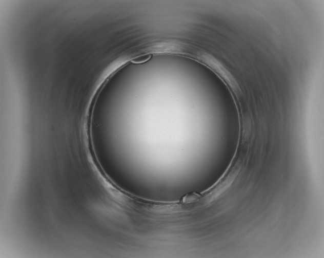 X0000111881434200907301128