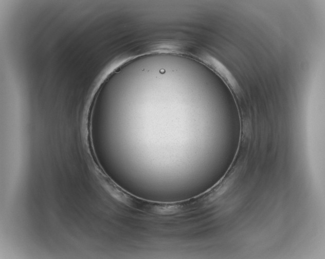 X0000111881435200907301128